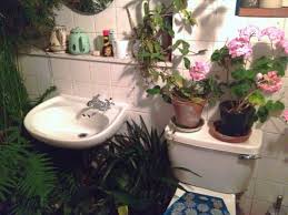 We find renewed energy in this refreshing color combination. Aesthetic Flowers And Green Image 2806308 On Favim Com