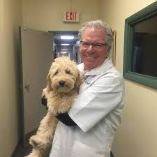 The animal care centers have been named cincinnati's best veterinarian for the past 6 consecutive years by citybeat. Petcare Animal Hospital Home Facebook