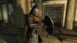 Who Is This Guy? He Keeps Popping Up Every Few Days To Fight Me. : R/Skyrim