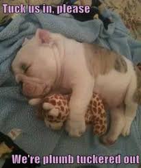 Kami akan membantu anda untuk mengetahui apakah itu layak membayar ekstra untuk versi kelas atas atau apakah anda. Emma Dillenbeck Dillenbeck0681 Profile Pinterest