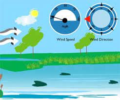 Wind Direction At My Location Environmental Monitor | Wind Speed And Direction
