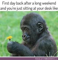 Long weekends famous quotes & sayings. Back To Work After A Long Weekend Quotes Long Weekends Work Humor Humor Funny Quotes Dogtrainingobedienceschool Com