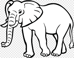 Gajah afrika buku mewarnai gajah gambar png. Buku Mewarnai Singa Hewan Ternak Hedgehog Singa Putih Anak Png Pngegg