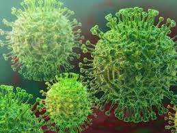 The delta variant, seen for the first time in india, now appears to be predominant in south africa, said de oliveira of the network for genome monitoring in south africa in a virtual briefing. The New Coronavirus Variant In South Africa Are Concerns Justified The Economic Times