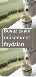 Beyaz Cay Nedir Nasil Demlenir Faydalari Ve Zararlari Sifali Otlar Saglikli Yasam Saglik