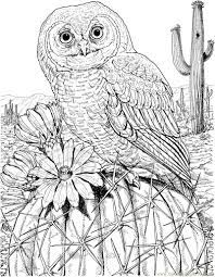 Free printable coloring pages for adults only pdfs. Pin On Zentangle Art