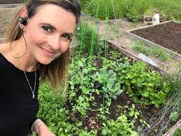 World of Cooking family. Hello again every one. Just sharing my fresh  garden produce . Patchoi, bagie, Spinache bagie lettuce and my bunch of  chicito fig. Feeling thankful and blessed 🙏