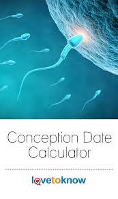 Pin On Pregnancy Babies