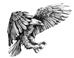 Black And White Eagle Tattoo Designs Pin By Steve Pseno On Animal Statues Eagle Drawing Eagle Tattoos Animal Tattoos