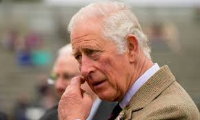 Prince of Wales charity launches inquiry into 'cash for access' claims