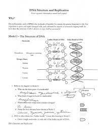 We did not find results for: How Do Dna Molecule Copy Itself
