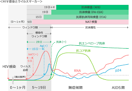 Hiv検査 相談マップ Hiv エイズ Aids 性感染症の検査 相談窓口情報サイト