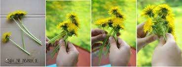 Jak zrobić wianek z kwiatów polnych - Smaczne Inspiracje