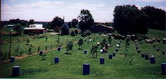 Road (15 mins to the town proper). I Wheeler S Mill Game Fowl Farm