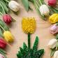 Glass Tulip Plant Stakes