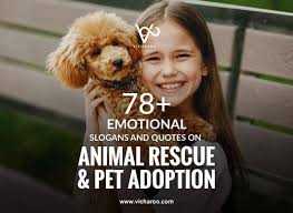 Maybe you would like to learn more about one of these? 78 Best Animal Rescue Pet Adoption Day Slogans Quotes Vicharoo