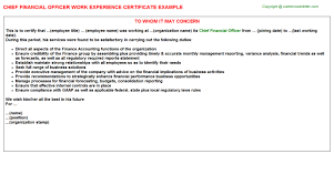 A cfo or chief financial officer oversees all finance, accounting, budgeting, forecasting, cash flow, credit, and debt obligations of a business. Chief Financial Officer Experience Certificate