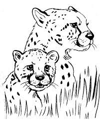 Cheetah coloring sheet drawing leopard baby cheetah coloring pages coloring pages math site that gives answers high school english tutor free math inventory assessment exponent games for 8th grade pre math activities for toddlers advantages of utilizing letters in order shading pagesif you have pc, printer and web at your home you don't need to spend on the costly shading books any longer to. Baby Cheetah Coloring Pages With Mom Coloringstar Coloring Home