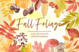 Click for free svg download. Fall Leaves Autumn Watercolor Graphics Graphic By Roselocket Creative Fabrica