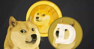 In a tweet he said the commercial space exploration firm will launch the. If You Invested 100 When Elon Musk First Tweeted About Dogecoin Here S How Much You D Have Now Tesla Motors Tsla Benzinga