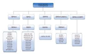 Punjab Police India Organization Chart