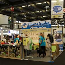 Famille d'accueil chien guide d'aveugle bordeaux. Actualites