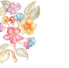 No doubt , flowers are sign of love and life. Cute Flowers Painting By Eva Brejlova