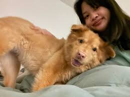 Hello, I got a new job and will be moving to another state, therefore I am  looking for someone to take over my lease in mid-September (the lease goes  through the end