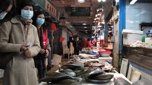 武汉华南海鲜批发市场), simply known as the huanan seafood market (huanan means 'south china'), was a live animal and seafood market in jianghan district, wuhan city, the capital of hubei province in central china. Wet Market In China Is Linked To Coronavirus Outbreak What Are These Markets Like Goats And Soda Npr