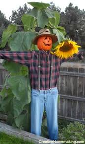 Image result for scarecrow making in pictures of scarecrows