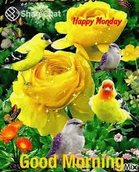 Everyone likes flowers, but some special people like different types of flowers like red, pink, white, yellow, green, blue, everyone likes flowers of different colors. Monday Good Morning Gif Monday Goodmorning Happymonday Discover Share Gifs
