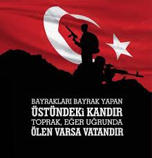 Vektorel Cizim Toprak Eger Ugrunda Olen Varsa Vatandir History Wallpaper Instagram Posts Turkey Flag