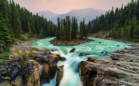 Here are only the best windows nature wallpapers. Download Green Forest Water Flow Waterfall Nature Wallpaper 3840x2400 4k Ultra Hd 16 10 Widescreen