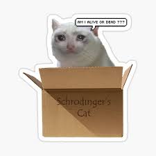 Jul 07, 2012 · about. Schrodinger Cat Meme Stickers Redbubble