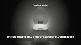 Which Toilets have the Strongest Flush in 2025? - Plumbing Market