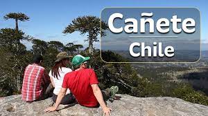 Temporal causó caída de árbol sobre una casa en cayucupil. Canete Turismo Chile Travel Www Turismoregion Cl Youtube