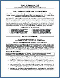 executive resume writing service reviews