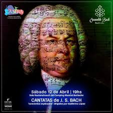 Bach con el alma: conciertos explicados en el Camping Musical Bariloche