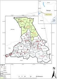 Image result for Scepocarpus hypselodendron