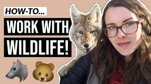 How To Become A Wildlife Biologist (In 5 Minutes) - Youtube