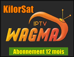 Gogo v20 android latest 1.4 apk download and install. Wagma Tv Application Android Apk