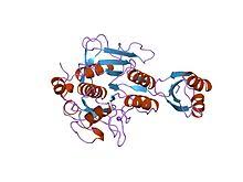 One ml of the cocktail solution is recommended for the inhibition of endogenous enzymes found in 100 ml of lysate from 20 g (wet weight) of bovine liver or 10 ml of cell lysate obtained from cho cells at a cell density of 100 million (108) cells per ml. Protease Inhibitor Biology Wikipedia
