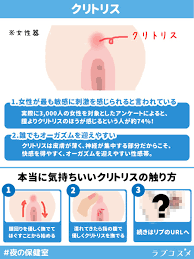 ラブコスメ公式 on X: 【本当に気持ちいいクリトリスの触り方】 クリトリスは、男性器の亀頭部分よりも約3倍も感じやすくて敏感な場所と言われています。痛くないように優しく触るのが一番のコツだったりします。  #ラブコスメ #夜の保健室 t.coFp8HkaAtyg  X