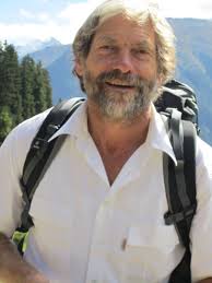 Steingartenpflanzen, Alpine Pflanzen S-T