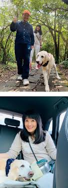 Jun 04, 2021 · 34歲的創作歌手陳零九確診新冠肺炎，他所屬的滾石唱片證實，陳零九為新冠肺炎確診者，已由救護車送進防疫旅館隔離。陳零九被爆料曾經違規和. Glvag5xngbxcim