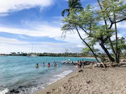 If you are heading out to the hapuna beach state park and thinking about where the local favorites eats are then you need to stop at three frogs cafe. Hawaii Travel Guide Bites Flights