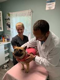Family pet veterinary center norwalk center. Gallery