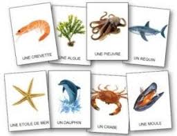 Epingle Sur Imagier