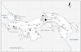 Image result for Microcharis asparagoides