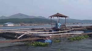 Wisata Spot Mancing Bendungan Cirata Jangari Cianjur Youtube